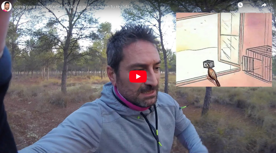 palabras que cambian tu realidad