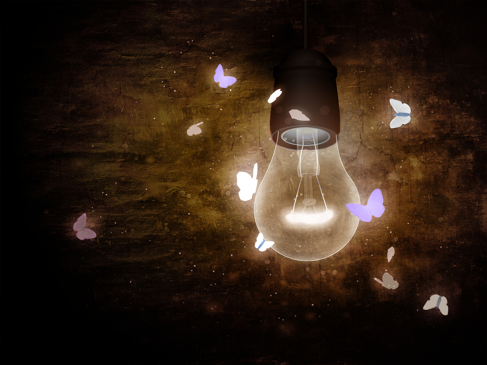reflexión 2: como polillas alrededor de una luz
